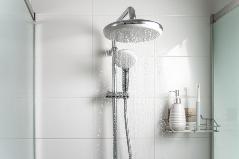 Rain Shower Head and Minimal Fixtures